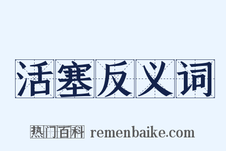 活塞反义词是什么意思的图片